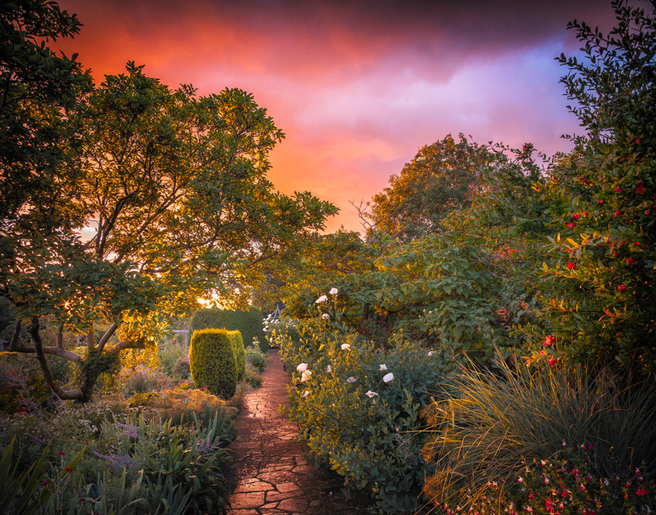 Photo: 'Spectacle of the Painted Storm', Location: Brockwell Park, Lambeth, London. © Max Rush, 1st Place, Beautiful Gardens, Overall Winner, Competition 18.